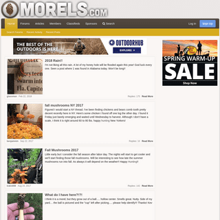 Morels.com - Morel Mushrooms and Morel Mushroom Hunting