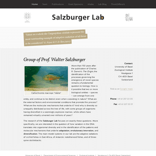 A complete backup of salzburgerlab.org