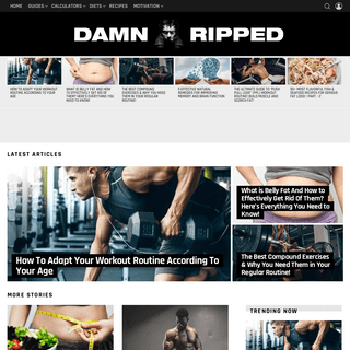 A complete backup of damnripped.com
