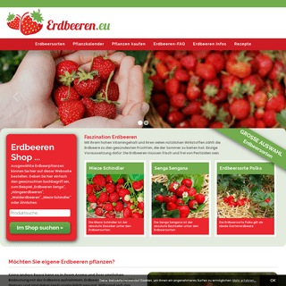 Erdbeeren pflanzen und Erdbeerpflanzen online bestellen