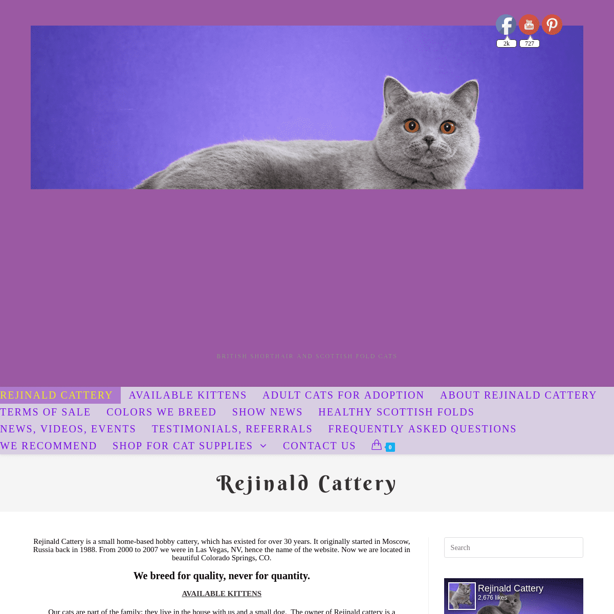 Rejinald Cattery – British Shorthair and Scottish Fold Cats
