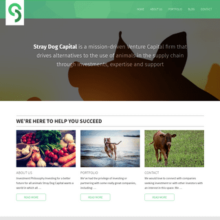 Stray Dog Capital | Investing for a better future for all animals
