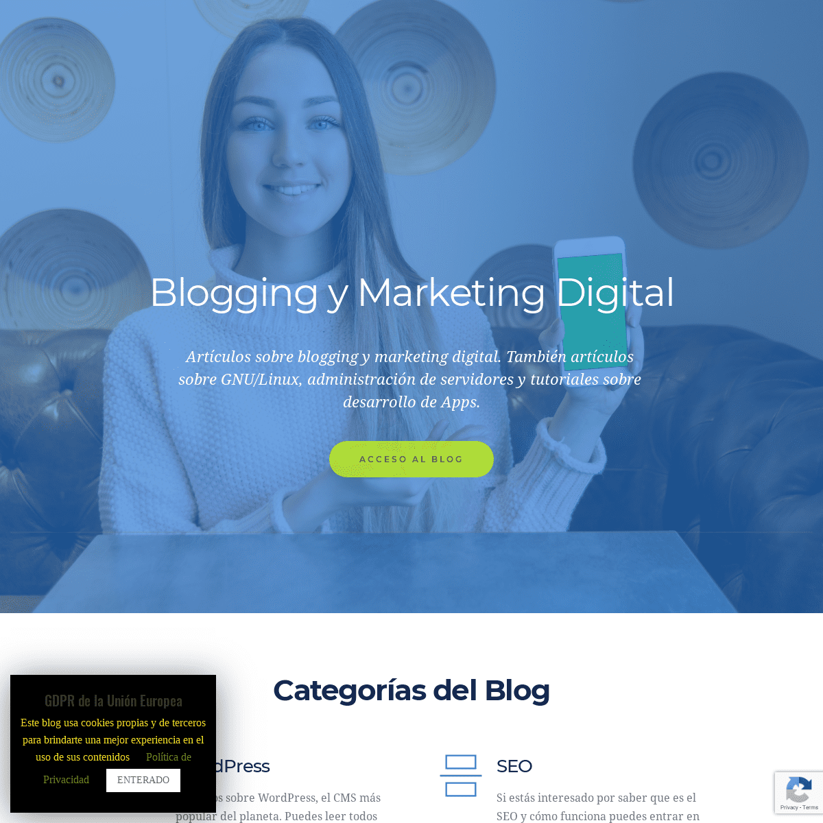 Blogging y Marketing Digital - Angel Yocupicio