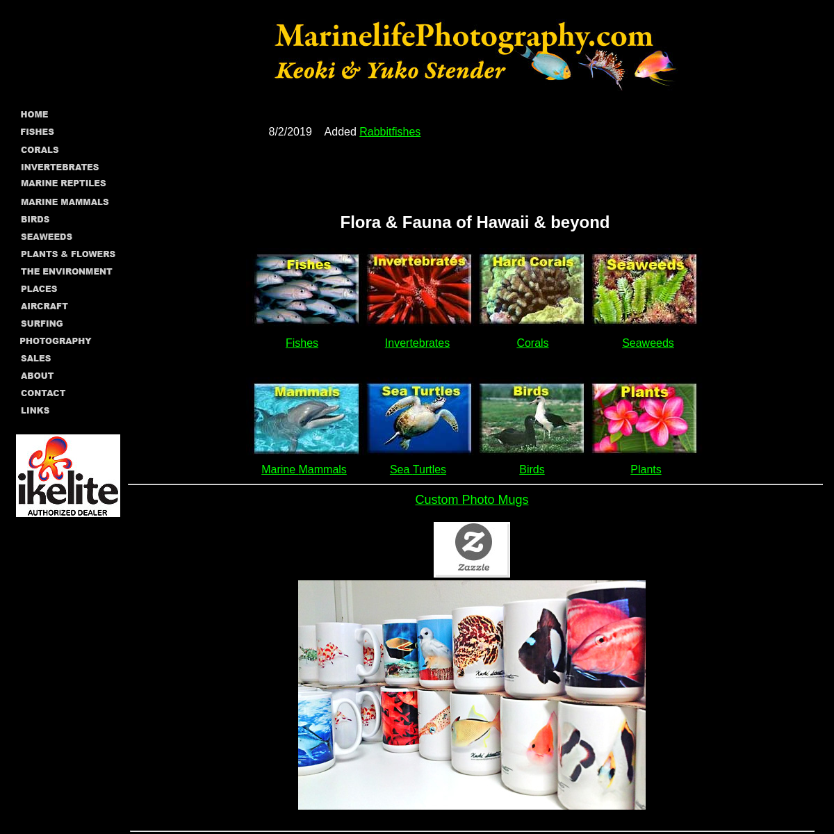 A complete backup of marinelifephotography.com