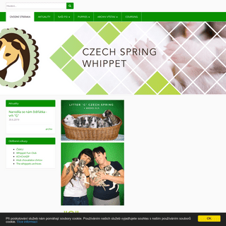 Czech Spring Whippet Kennel - Czech Spring - WHIPPET KENNEL