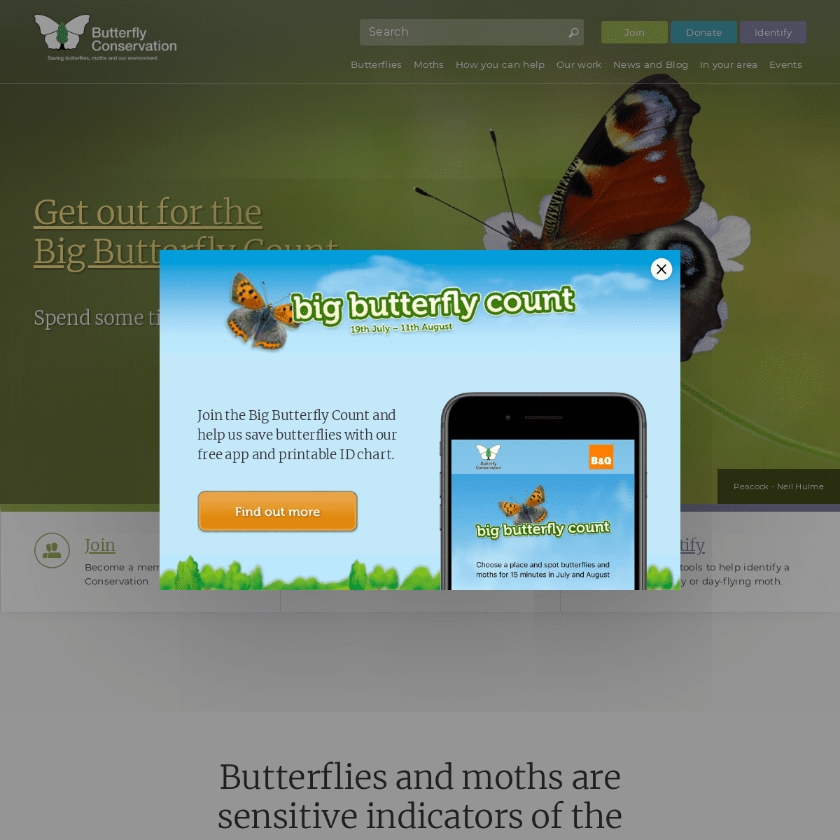 Home page | Butterfly Conservation