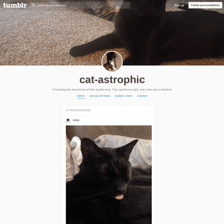 cat-astrophic
