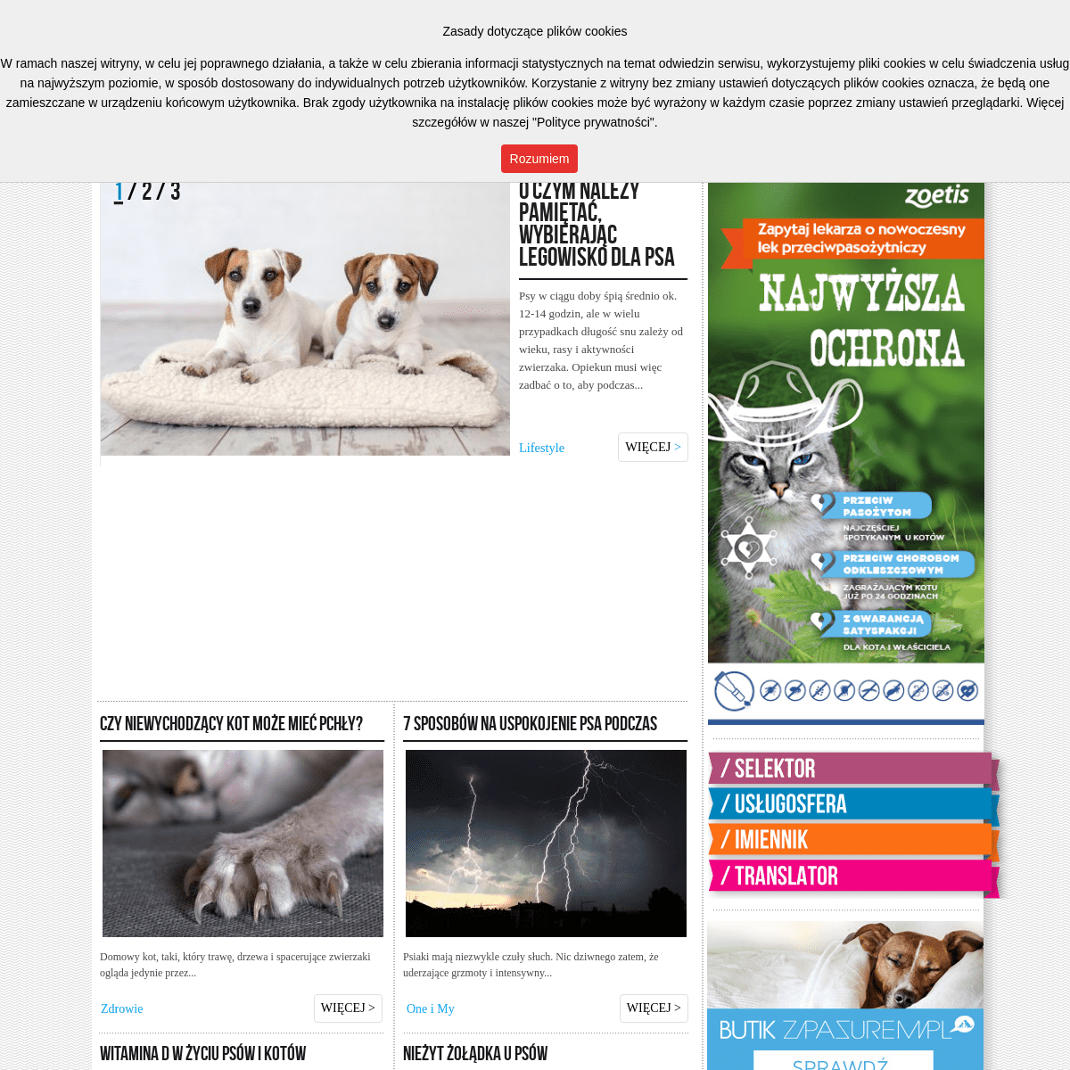 Psy i Koty - Portal dla Miłośników Psów i Kotów Zpazurem.pl