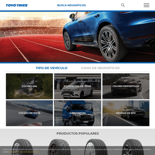 A complete backup of toyotires.es