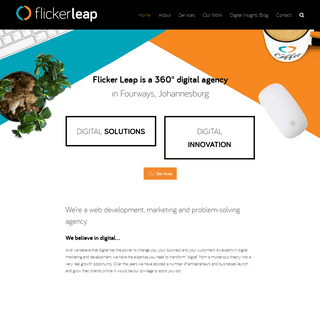 Flicker Leap - 360° Digital Solutions Agency - Fourways South Africa