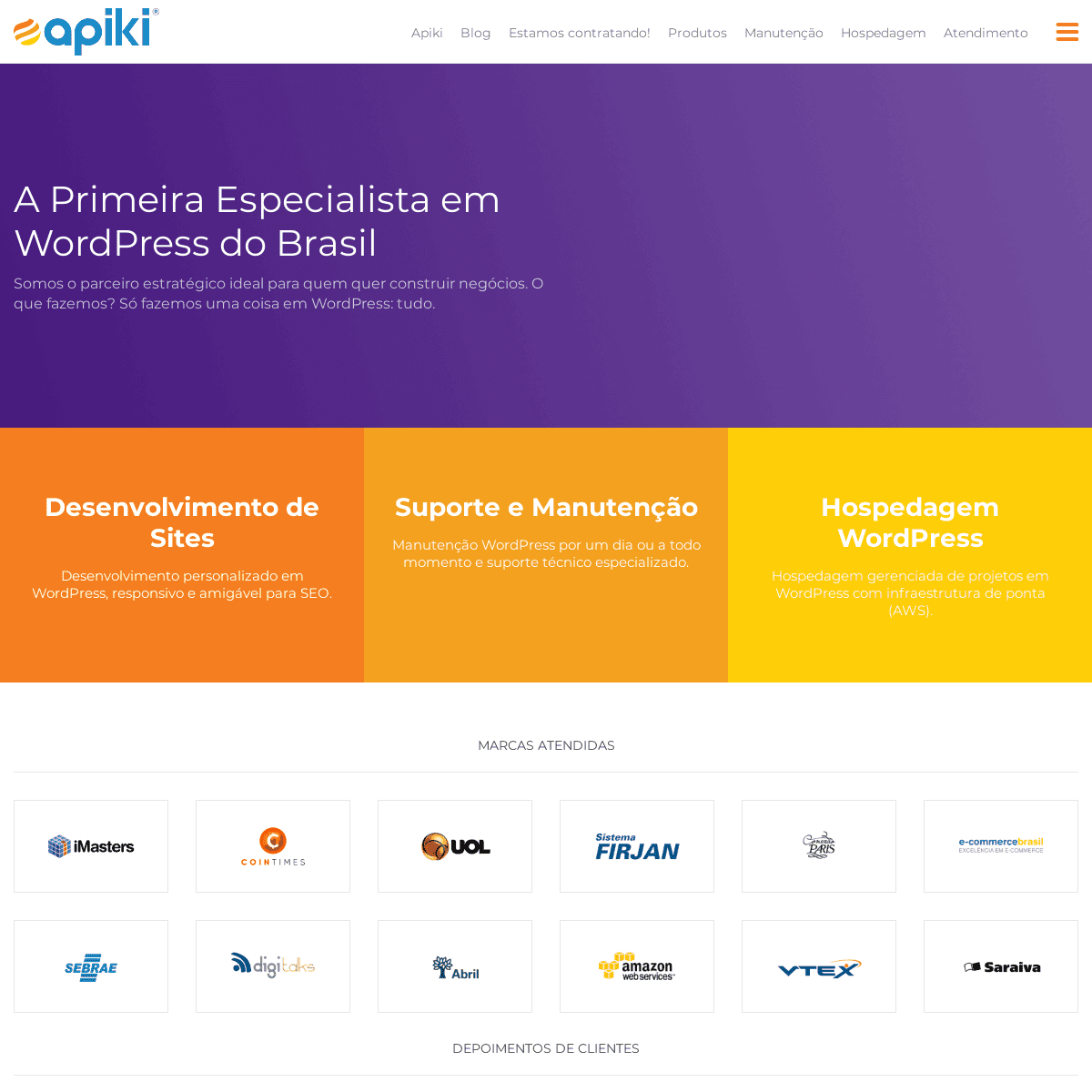 Apiki - Soluções especializadas em WordPress