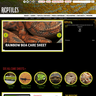 Reptiles Magazine, your source for reptile and herp care, breeding, and enthusiast articles
