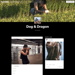 Dog & Dragon
