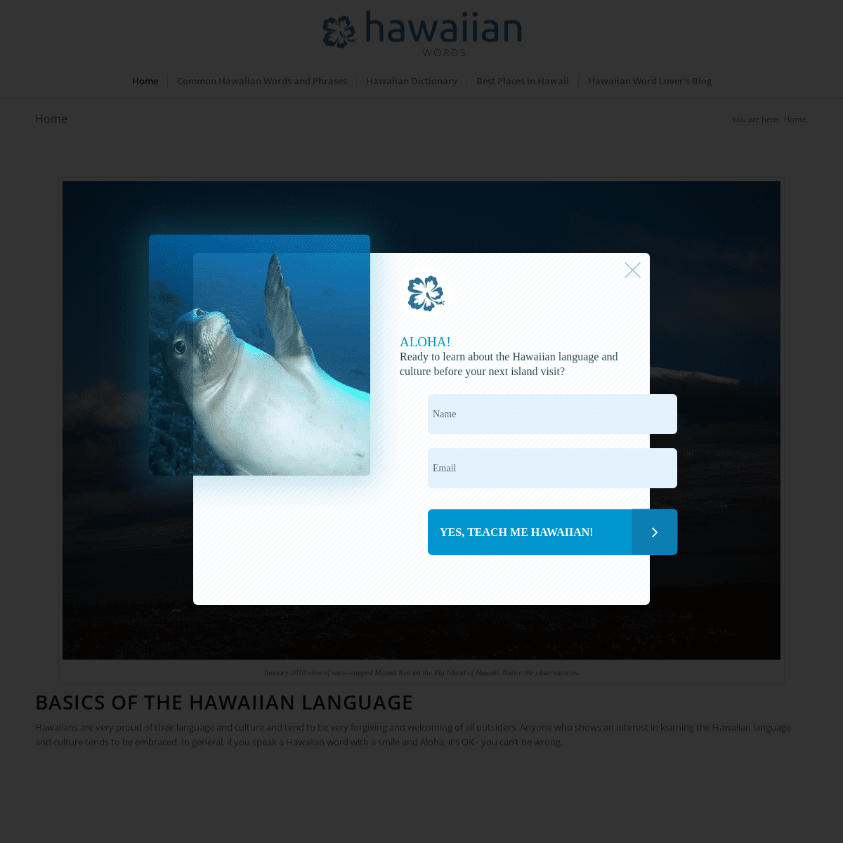 A complete backup of hawaiian-words.com