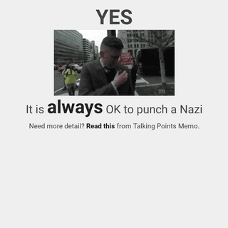 Can I Punch Nazis-