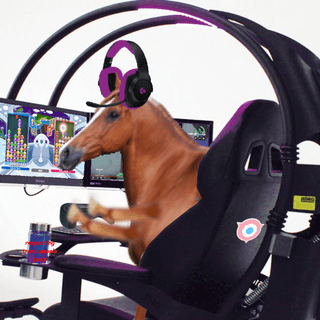 A complete backup of esports.horse