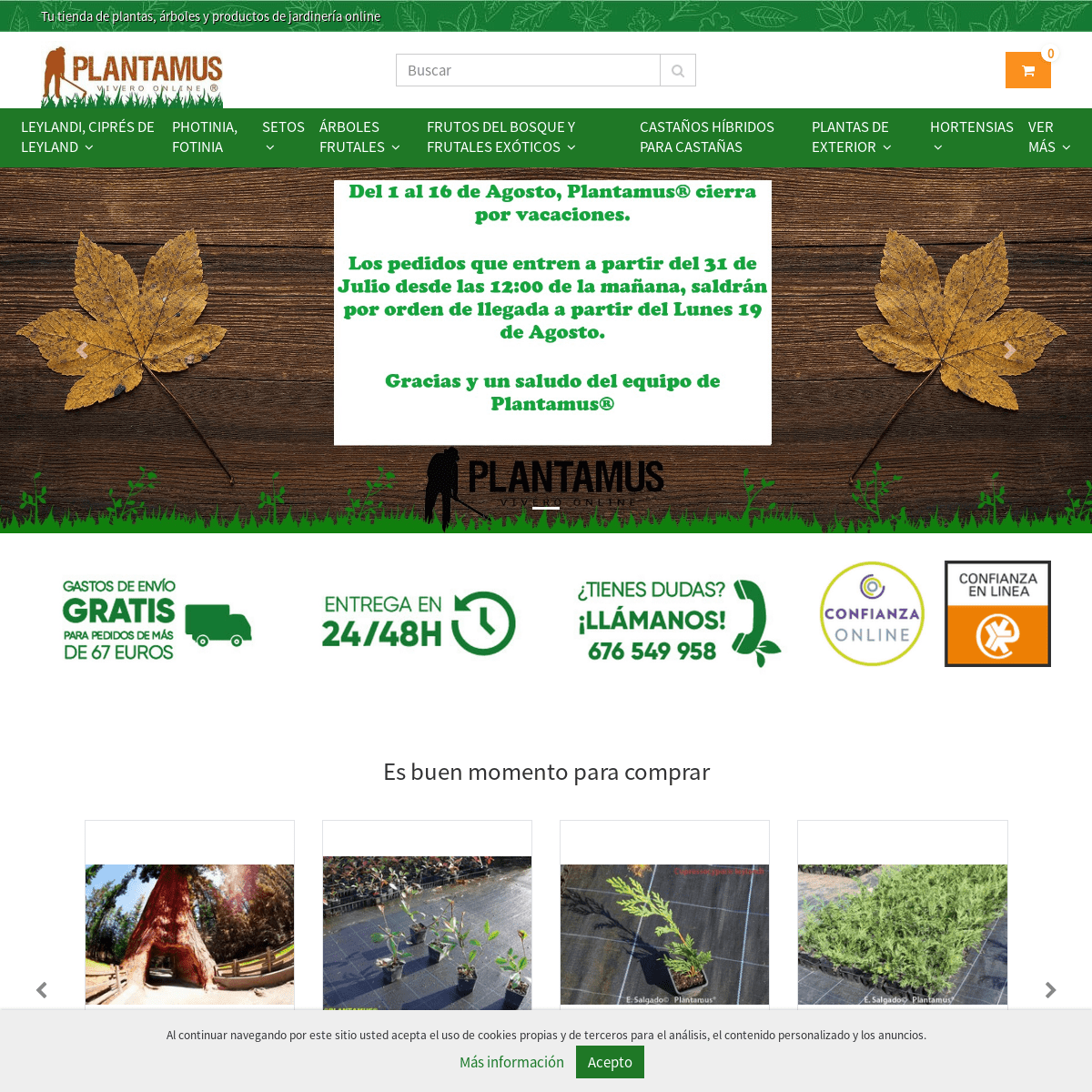 Plantamus Vivero online
