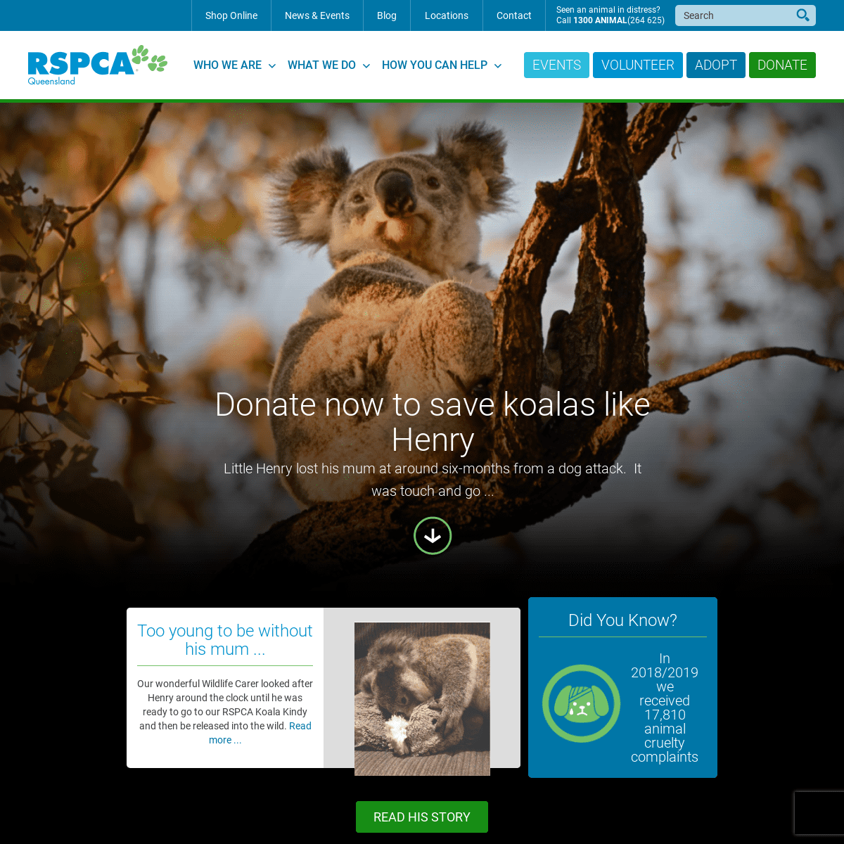 A complete backup of rspcaqld.org.au