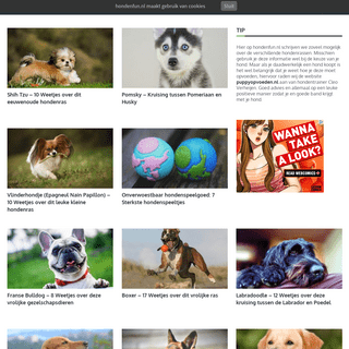 Hondenfun.nl - De Leukste Hondenwebsite van Nederland