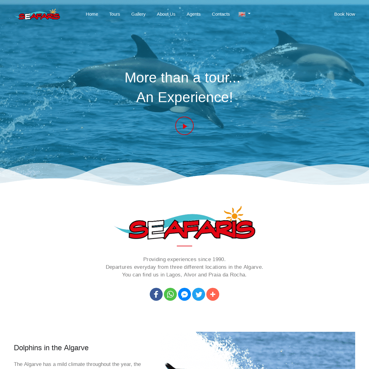 Seafaris - Dolphin watching, Benagil cave trips, Ponta da Piedade grotto tour in Algarve, Portugal