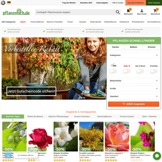Pflanzen online kaufen | PFLANZMICH Garten Online-Shop