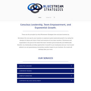 Bluestream Strategies – Conscious Leadership, Team Empowerment, And Explosive Growth