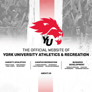 The Official Website of York University
