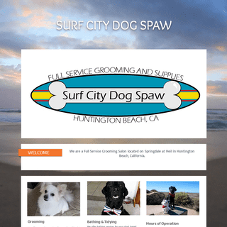 surfcitydogspaw