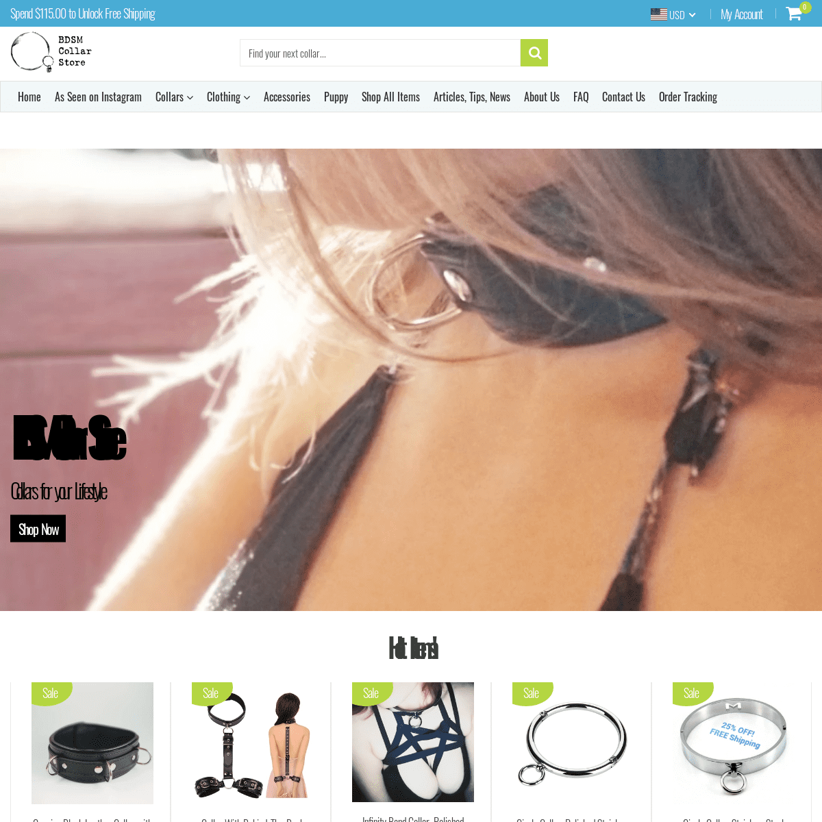 A complete backup of bdsmcollarstore.com