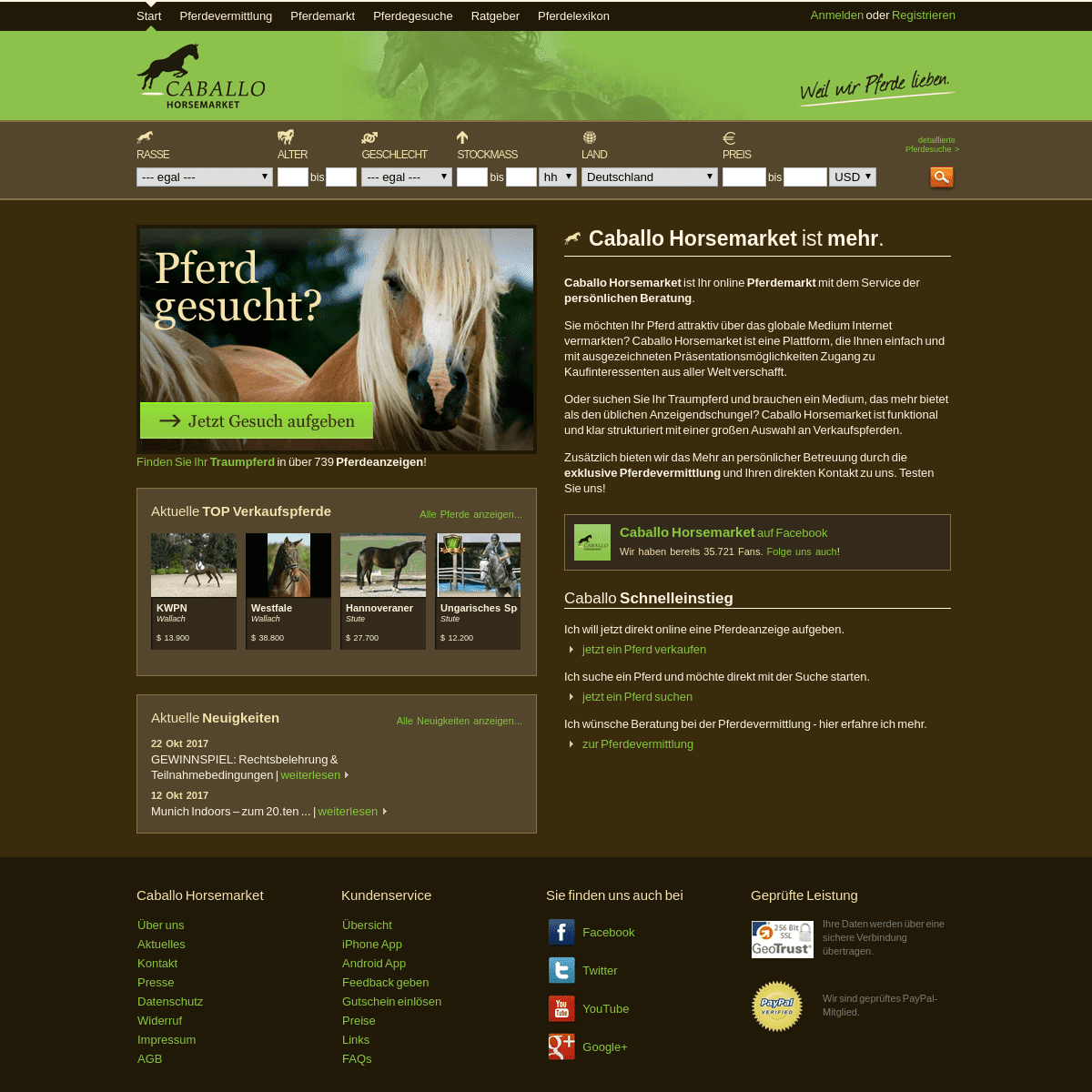 Caballo Horsemarket - Pferde kaufen und Pferde verkaufen