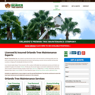 Tree Trimming - Tree Removal - Debris Removal - Beaver Tree Service, Inc. - Orlando, Florida |