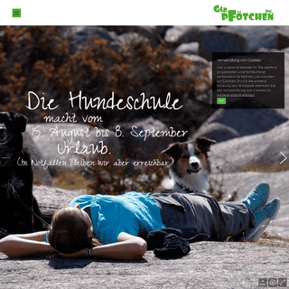 Gib Pfötchen | Ihre Hundeschule in Chemnitz und Umgebung