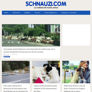 Schnauzi.com | Noticias de perros, consejos y cuidados
