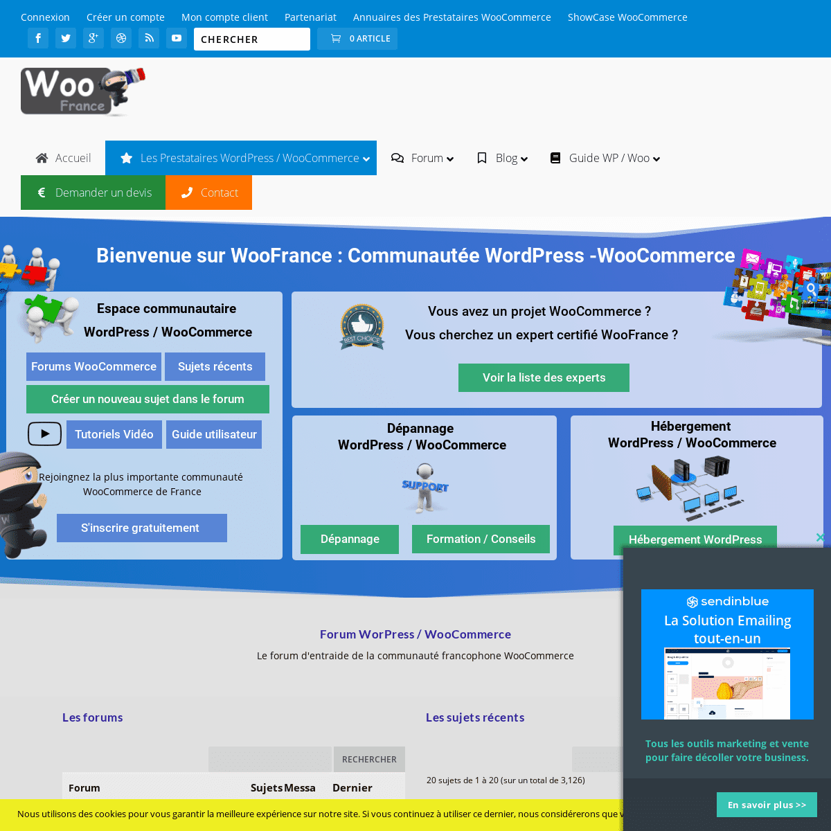 WooFrance, Communauté et Forum WooCommerce