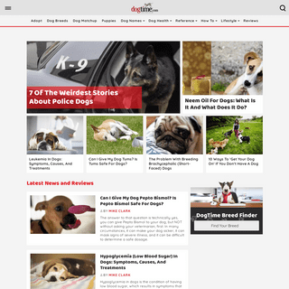 Dogtime - The place for dog breeds, pet adoption, pet insurance and expert pet advice