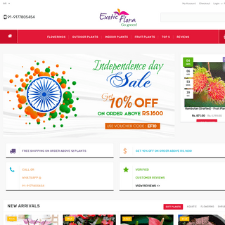 Exotic Flora | Buy Plants Online -Indoor plants, Outdoor plants, Gift Plants In India