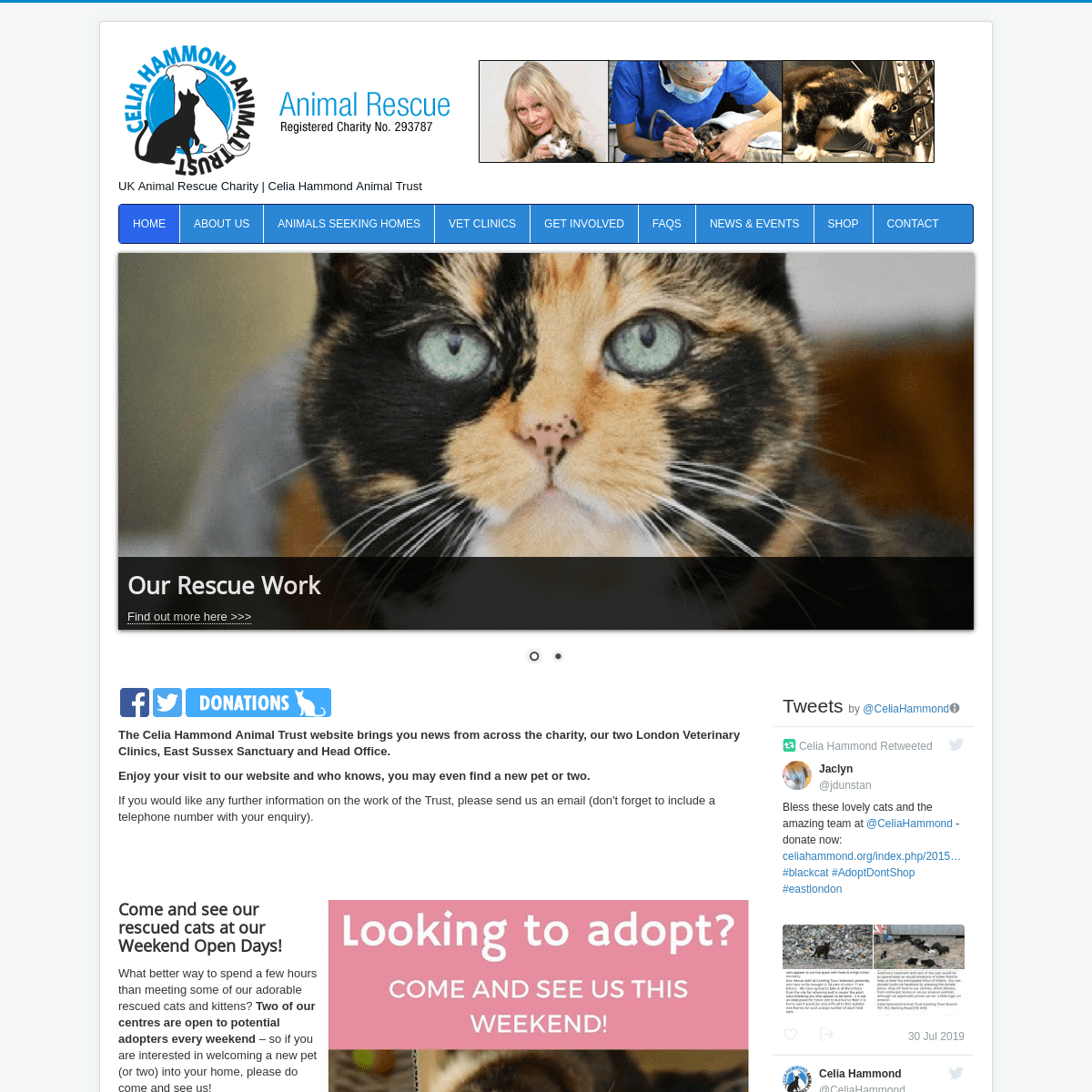Celia Hammond Animal Trust - UK Animal Rescue Charity