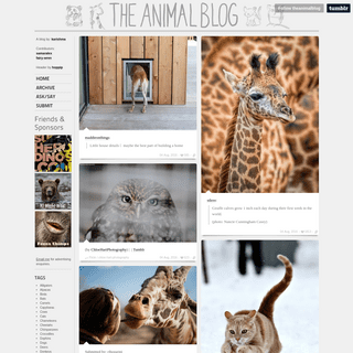The Animal Blog