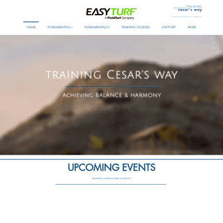  Training Cesar's Way | Train With Cesar Millan 