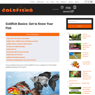 Goldfish Basics: Get to Know Your Fish - Fancy Goldfish - Goldfish Care - Goldfish info