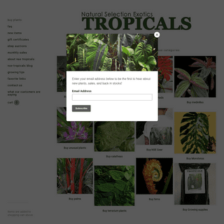 A complete backup of nsetropicals.com