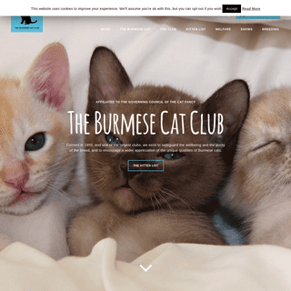 Home - The Burmese Cat Club - Affiliated to the GCCF