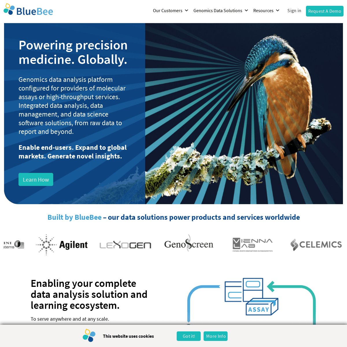 A complete backup of bluebee.com