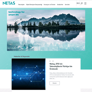 A complete backup of netas.com.tr