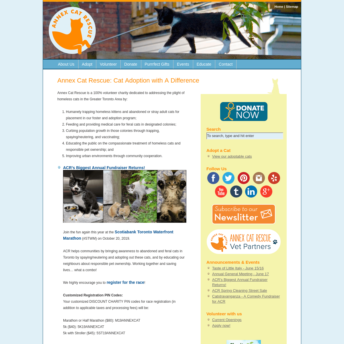 Annex Cat Rescue | Cat Adoption with a Difference