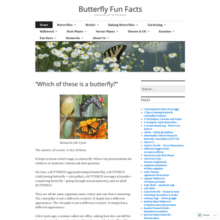 Butterfly Fun Facts – {and some not-so-fun facts}