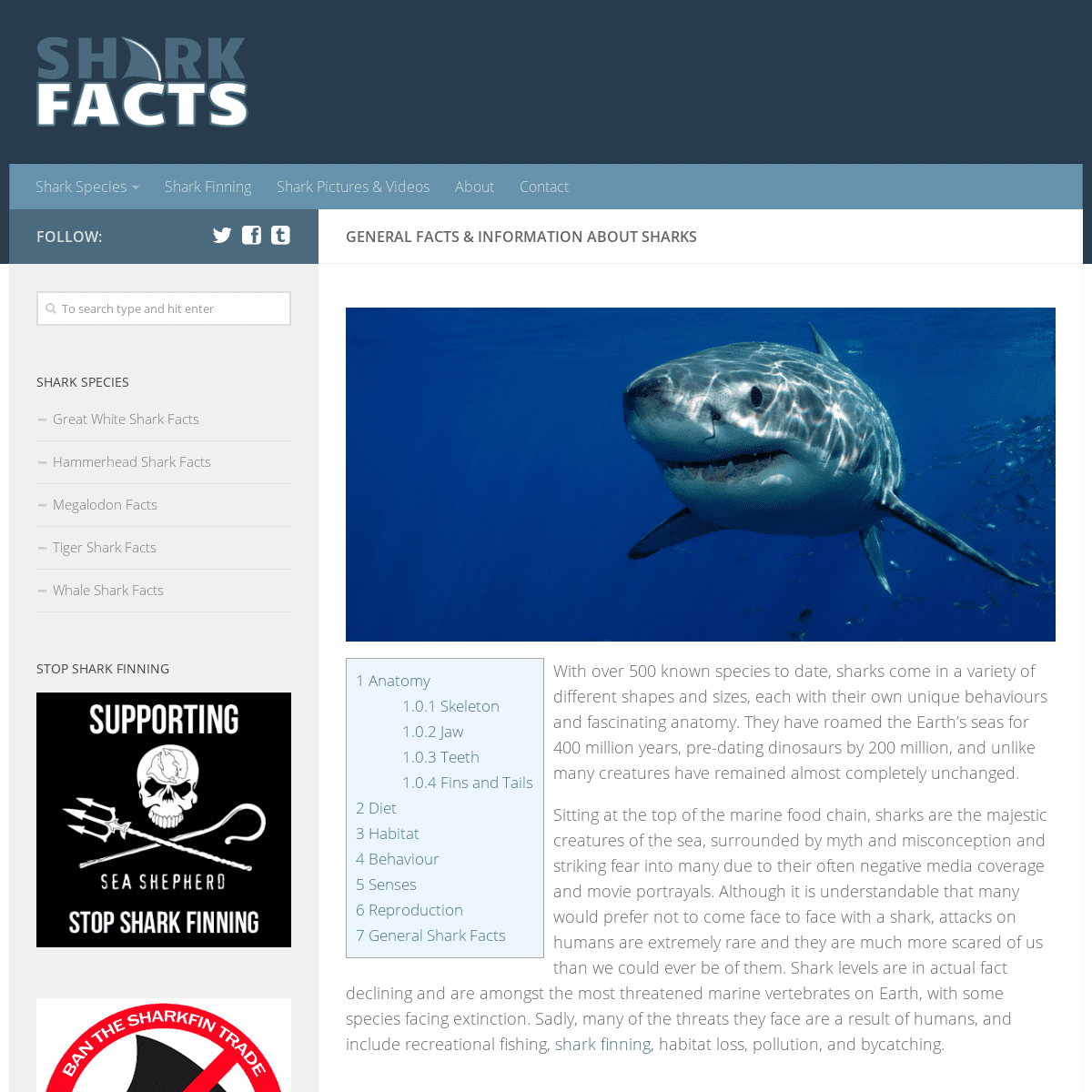 A complete backup of shark-facts.com