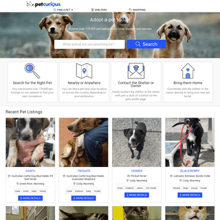 Search cats & dogs for adoption from shelters and rescues | PetCurious