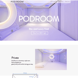 Pod Room | Affordable Luxury Capsule Hotels