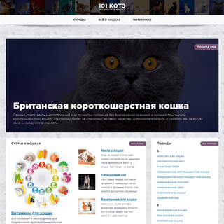 Всё о котах, кошках и котятах породистых и диких кошек на 101Котэ.ру